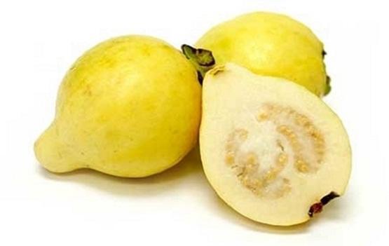 لا تصدق فوائد مذهلة للجوافة 