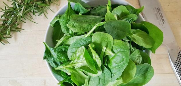فوائد السبانخ وأهميتها