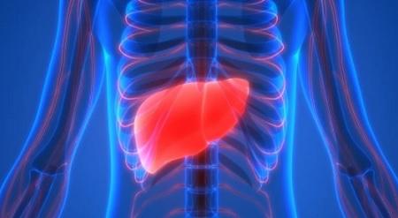 عشبة نادرة تعالج أمراض الكبد