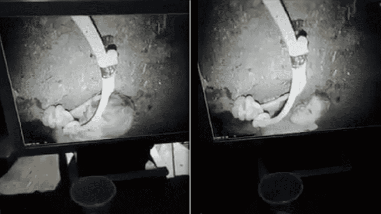 آخر مستجدات عملية إنقاذ ريان طفل البئر