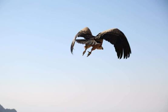 ضانا تدعو إلى وقف الصيد قرب المحمية