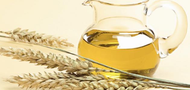 فوائد زيت جنين القمح للجسم لا تصدق