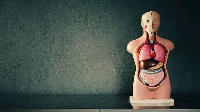 أمراض تسبب ظهور المرارة في الفم