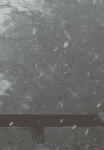 شاهد الثلوج القطنية في عجلون  فيديو 