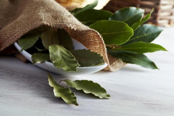 نوع من التوابل يساعد على فقدان الوزن وبالسرعة المطلوبة