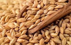 8  حجم استيراد الأردن للقمح من أوكرانيا 