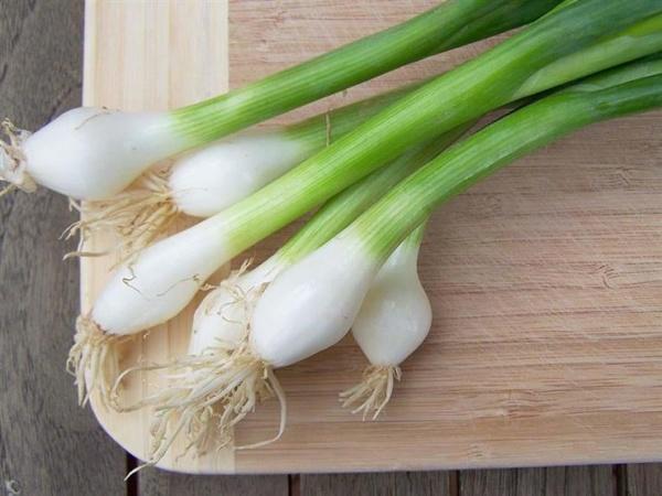 حيلة ذكية لتخزين البصل الأخضر فترة طويلة دون أن يهترئ
