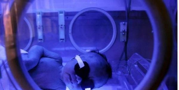 الحمل دون أم أحدث ابتكارات الصين تعرف على الطريقة