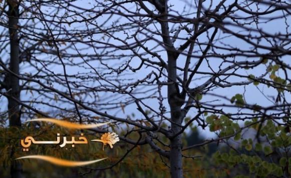 الأرصاد كتلة هوائية باردة ورطبة الثلاثاء