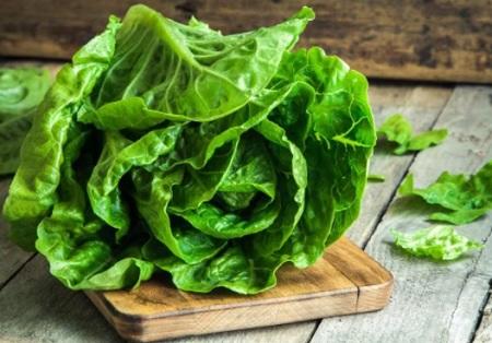 لهذا السبب لايجب أن يخلو طعامك من الخس