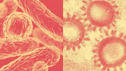 الفيروسات والبكتيريا تهاجمنا تحذير من العلاج الخاطئ