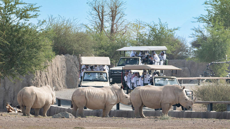 افتتاح سفاري الشارقة الأكبر بالعالم خارج إفريقيا  فيديو