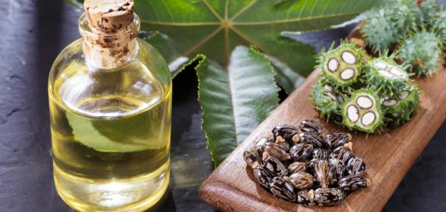 فوائد زيت الخروع لـ الصحة والشعر