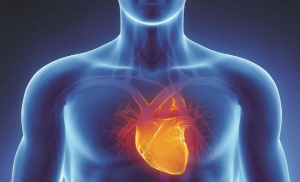 علاج جيني يحمي ضحايا الذبحة القلبية