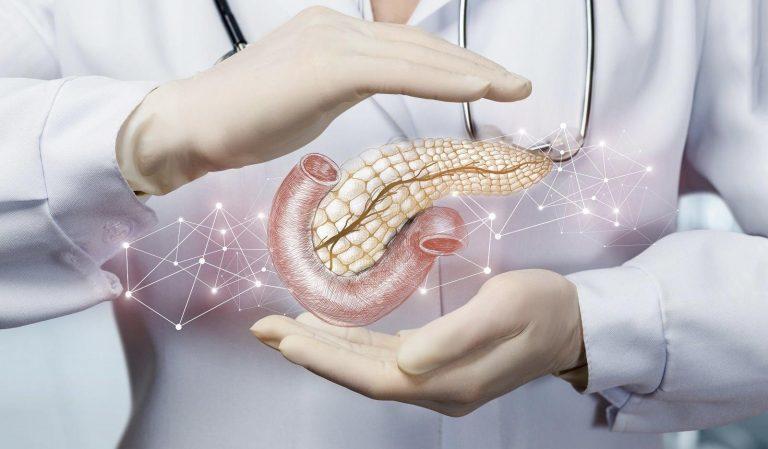 أطعمة مفيدة للبنكرياس
