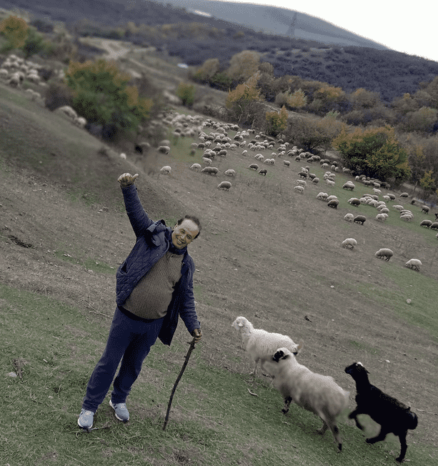 أبو طلال يعلن منعه من استيراد الأغنام الجورجية 