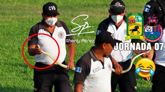 ضيف مرعب يتسلل لملعب كرة القدم  فيديو