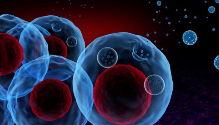 مكون في مطبخك يحارب 4 أنواع من السرطان لن تتوقعه