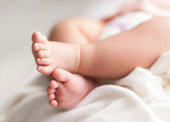 العثور على رضيعة في أحراش طيبة اربد