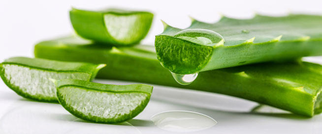 وصفات طبيعية من الألوفيرا للحصول على بشرة مشرقة