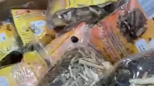 الكويت ضبط آسيوية بحوزتها 40 قطعة حشيش