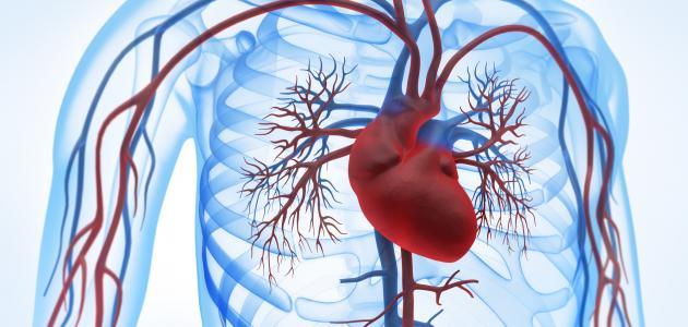 6 أسباب لضعف الدورة الدموية