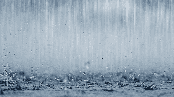 شاهد الامطار الغزيرة في اربد