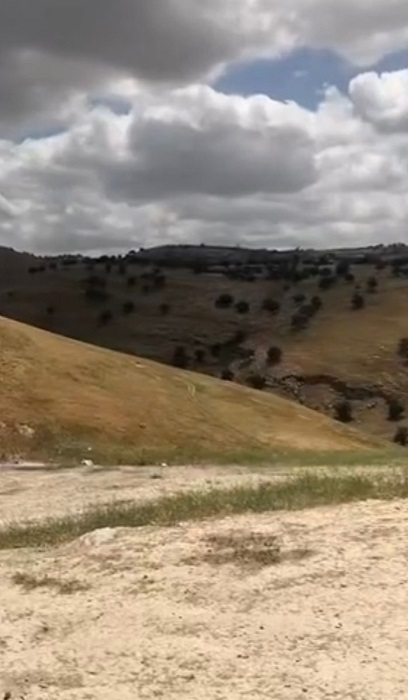 شاهد كيف أصبحت أم النمل بعد انتهاء الربيع - صور