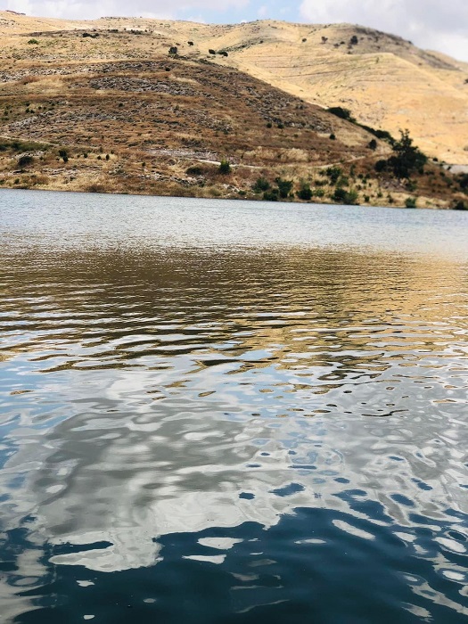 شاهد كيف أصبحت أم النمل بعد انتهاء الربيع - صور