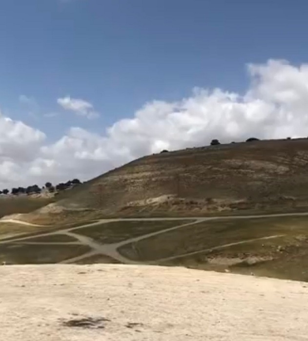 شاهد كيف أصبحت أم النمل بعد انتهاء الربيع - صور