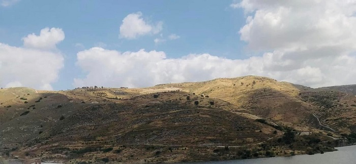 شاهد كيف أصبحت أم النمل بعد انتهاء الربيع - صور