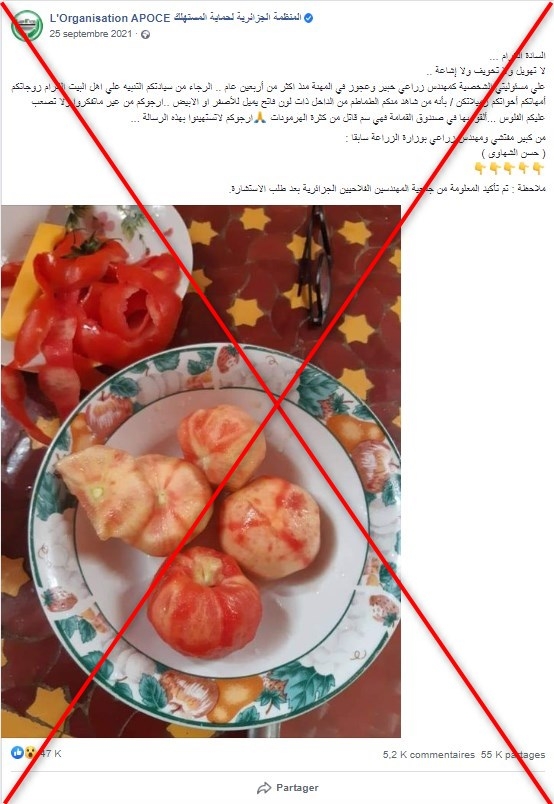 خطر ابيضاض البندورة .. اليكم الحقيقة