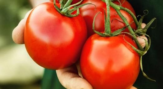 تجنب تناول الطماطم قبل النوم لهذا السبب