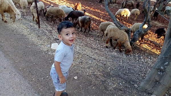 تعاطف اردني واسع مع وفاة الطفل راكان - صور