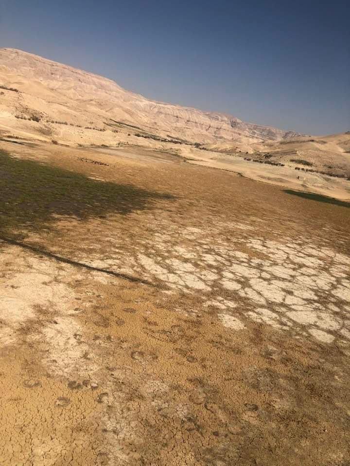 هذه الصور ليست من صحراء الربع الخالي بل من الأردن !