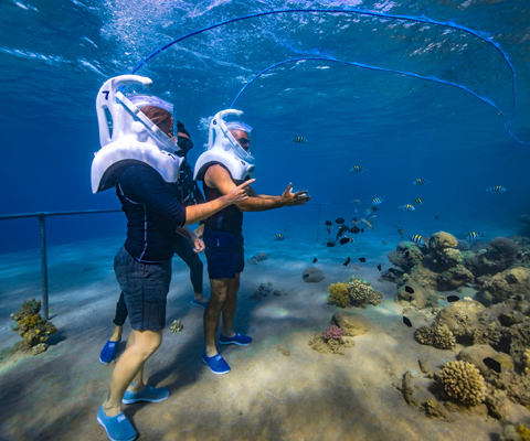 المشي في أعماق خليج العقبة أصبح متاحاً - فيديو وصور