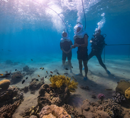 المشي في أعماق خليج العقبة أصبح متاحاً - فيديو وصور