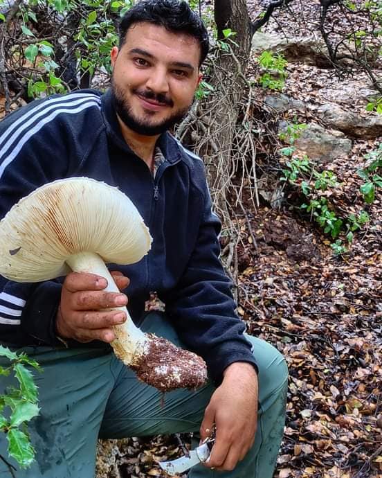 تسجيل أحد اخطر أنواع الفطر بالعالم في الأردن