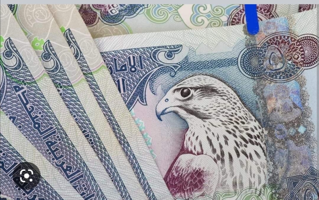 الأردن ليس الدولة الوحيدة التي وضعت الطائر على عملتها - أسماء