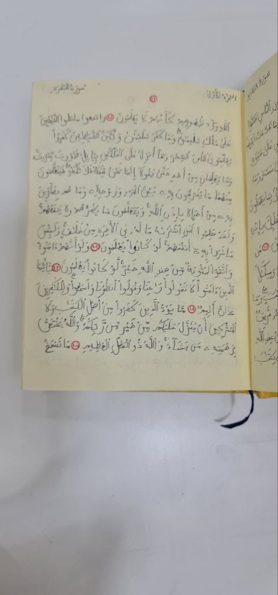 أردني أتم كتابة القرآن بخط يده - صور وفيديو