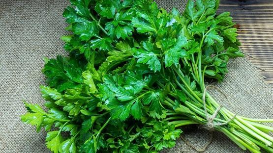 ما هي فوائد شرب مغلي البقدونس على الريق