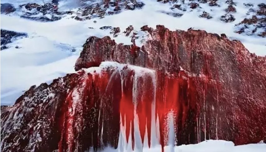 تعرف على شلالات الدم