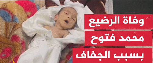 الصفدي:  محمد فتوح مات في غزة مقتولا بالتجويع