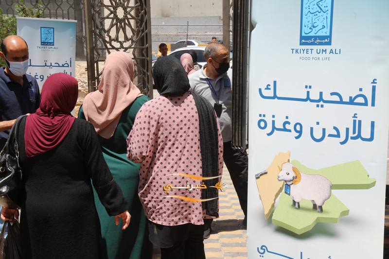 تكية أم علي توزع أضاحي العيد على 2816 أسرة  