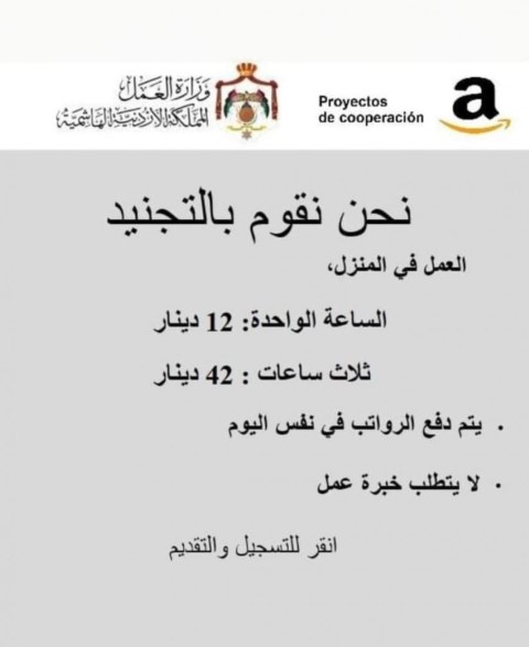 العمل تحذر من إعلان وهمي يدعي توفير عمل منزلي - صورة