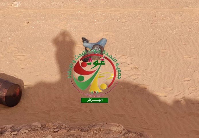 وفاة 12 سوريا عطشا بصحراء الجزائر خلال رحلة لجوء إلى أوروبا - صور