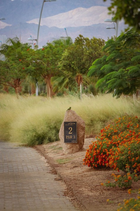 انطلاق النسخه الرابعة من الدوري الأردني  للجولف على ملاعب نادي واحة أيلة