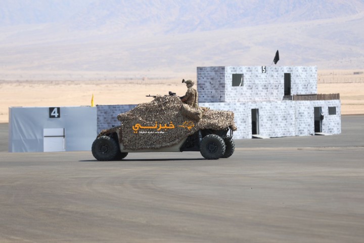 الملك وولي العهد في معرض (سوفكس) - صور