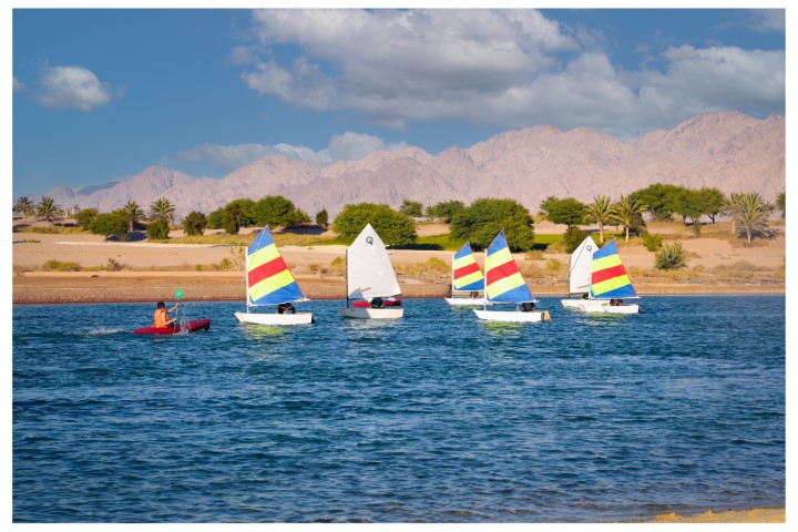 واحه أيلة تستضيف المعسكر الشتوي الاول للقوارب الشراعية