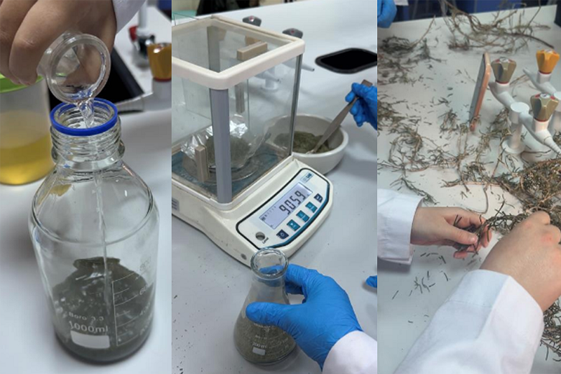 ورشة تدريبية لصيدلة عمان العربية تحت عنوان الاستخلاص من النباتات الطبية